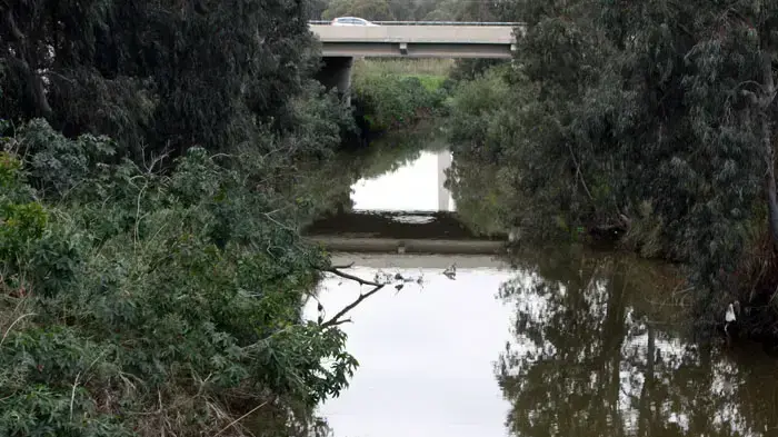 מפעלי נייר חדרה, מרץ 2011