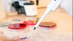 בדיקות גנטיות