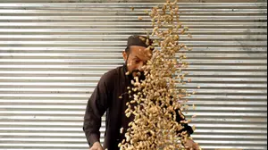 רוכל מנקה בוטנים, רגע לפני מכירתם בפשאוור, פקיסטן