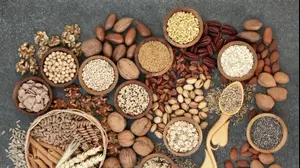 דגנים מלאים