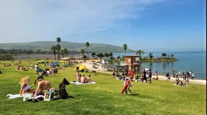 חוף צמח בכינרת