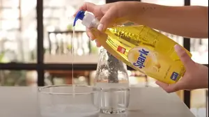 סבון כלים סנו