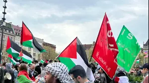 מפגינים פרו-פלסטינים בעיר מאלמו, שבדיה, 9 במאי 2024