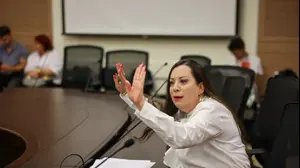 טלי גוטליב, דיון ועדת חוץ וביטחון, 26 ביוני 2024