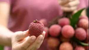 אישה מחזיקה ליצ'י