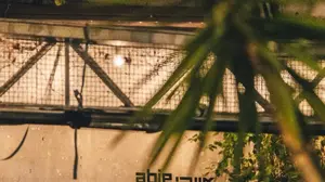 אייבי, תל אביב