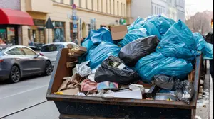 מכולת אשפה (צפרדע)