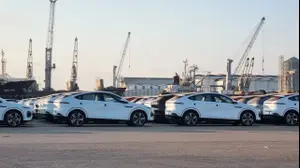 דגמי אקספנג באחסנה בנמל חיפה