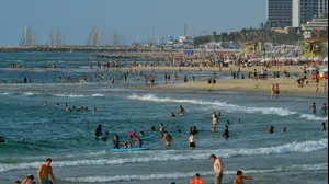 חוף ים