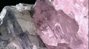 היהלום הנדיר שנמצא בבוטסואנה