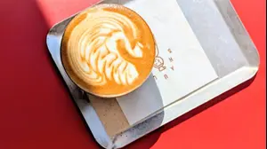 שאולה, מלון לינק, תל אביב