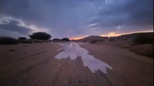 גשם בערבה התיכונה
. 13 בנובמבר 2025