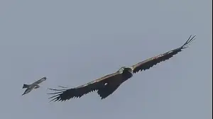 פרס ברמת הגולן, נובמבר 2025