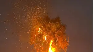 עץ דקל וושינגטוני עלה הבוקר באש, בעקבות פגיעת ברק.