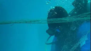 הוצאת רשתות הרפאים מהים