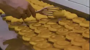 תיעוד מחיסול של עלי ברכאת מפקד ביחידה האווירית של חיזבאללה