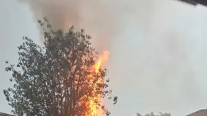 פגיעת ברק בעץ בדרך הטייסים בתל אביב