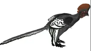 דינוזאור אנכיאורניס