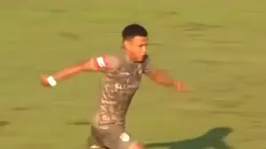 רובין גונסאלס