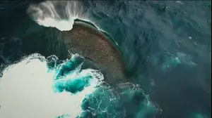 הגל המשוגע בעולם