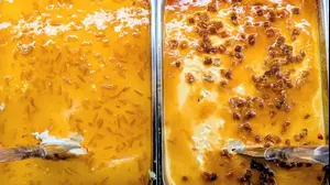 גלידה וריטה, טמרה