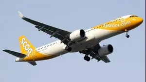 חברת הלואוקוסט Scoot