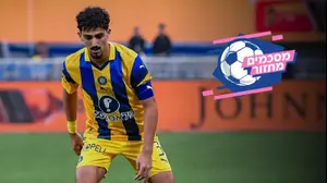 רוי רביבו, מסכמים מחזור