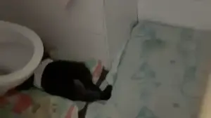 פעוט ישן על רצפת שירותים פעוטון, ירושלים, 19 בינואר 2026