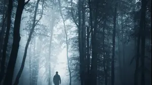 אילוסטרציה - צללית ביער