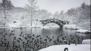 סופה בארצות הברית