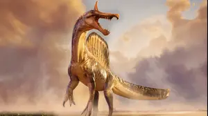 אילוסטרציה של הדינוזאור Spinosaurus mirabilis