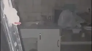 פגיעה ישירה במטולה. 03/04/2026