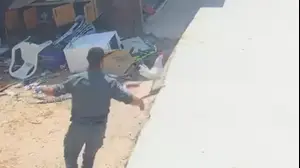 שוטר רודף אחרי התרנגול של אזברגה ברהט