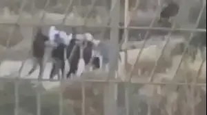 פלסטינים מעבירים גופה מקברה, בעקבות עימותים מול מתנחלים