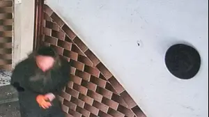 החשוד ברצח בבני ברק