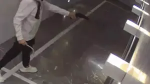 לינוי בר גפן חמוש
