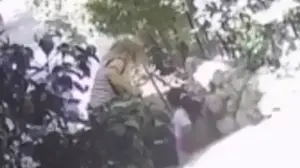 ילדה בת שמונה שהותקפה על ידי כלבים