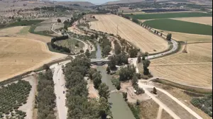 גשר הפקק