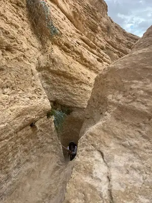 נותק הקשר עם אב וששת ילדיו שיצאו לטיול ודיווחו על התשה מהחום