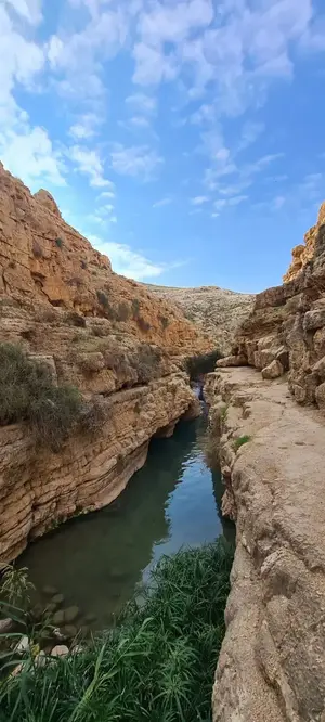 שבת נוחה ועלייה קלה בטמפרטורות | תחזית מזג האוויר