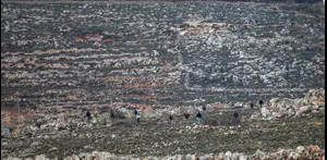 צה"ל חושף את תופעת הטיולים הלא מתואמים ביו"ש – ומתריע: אנשים מסתובבים בשטחי A ואיש לא יודע