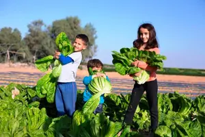 מחממות ועד הקפות: 5 עצירות שוות לחול המועד