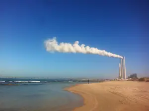 wallaEconomy article image