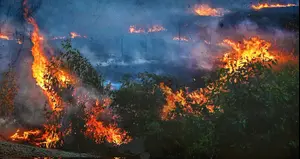 מתקפה על הצפון: פצוע קשה מנפילת כלי טיס ביערה, אזעקות בלתי פוסקות בגליל