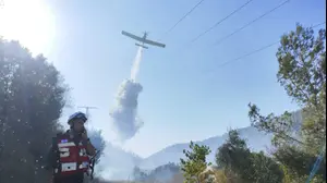 שריפה מתפשטת סמוך למחלף שער הגיא; כביש 1 נפתח שוב לתנועה