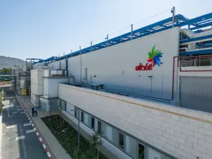 מחזור של 7 מיליארד שקלים הכניס את שטראוס לרשימת החברות הריכוזיות