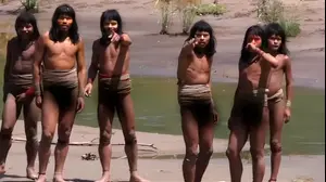 מבעד לענן פרפרים: נחשף תיעוד נדיר של השבט המבודד בעולם - רגע לפני תקיפה אכזרית