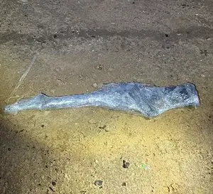 בערב אחד: אדם נהרג בנגב במהלך מרדף משטרתי, בת 40 נורתה למוות בפזורה