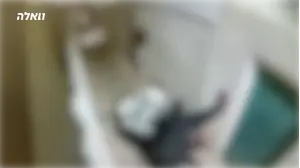 רבו על סיגריות - ודקרו אחד את השני באמצעות בקבוקי בירה | תיעוד קשה