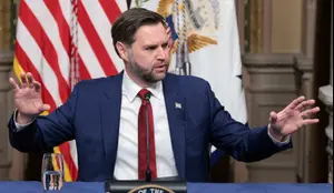 סגן נשיא ארה